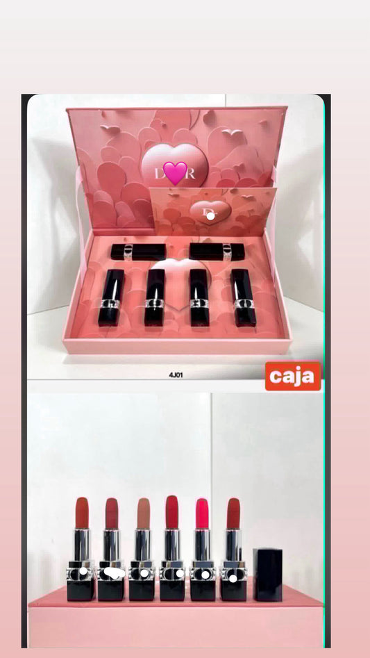 6 labiales caja con bolsita de regalo