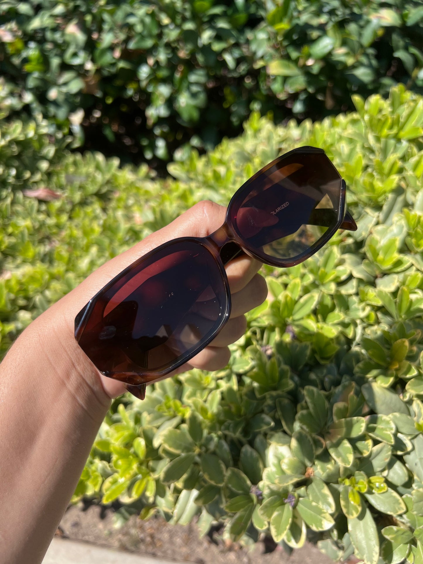 Trendy Glasses PR