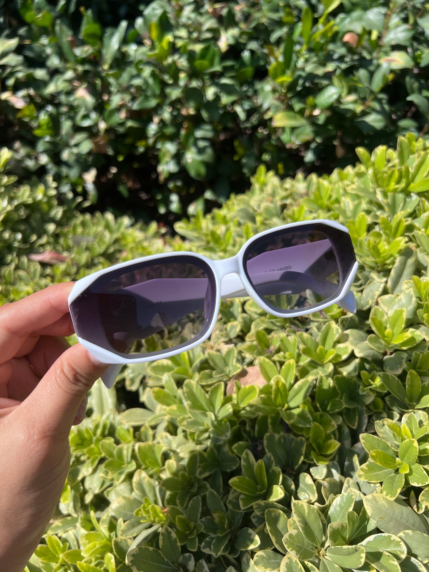 Trendy Glasses PR
