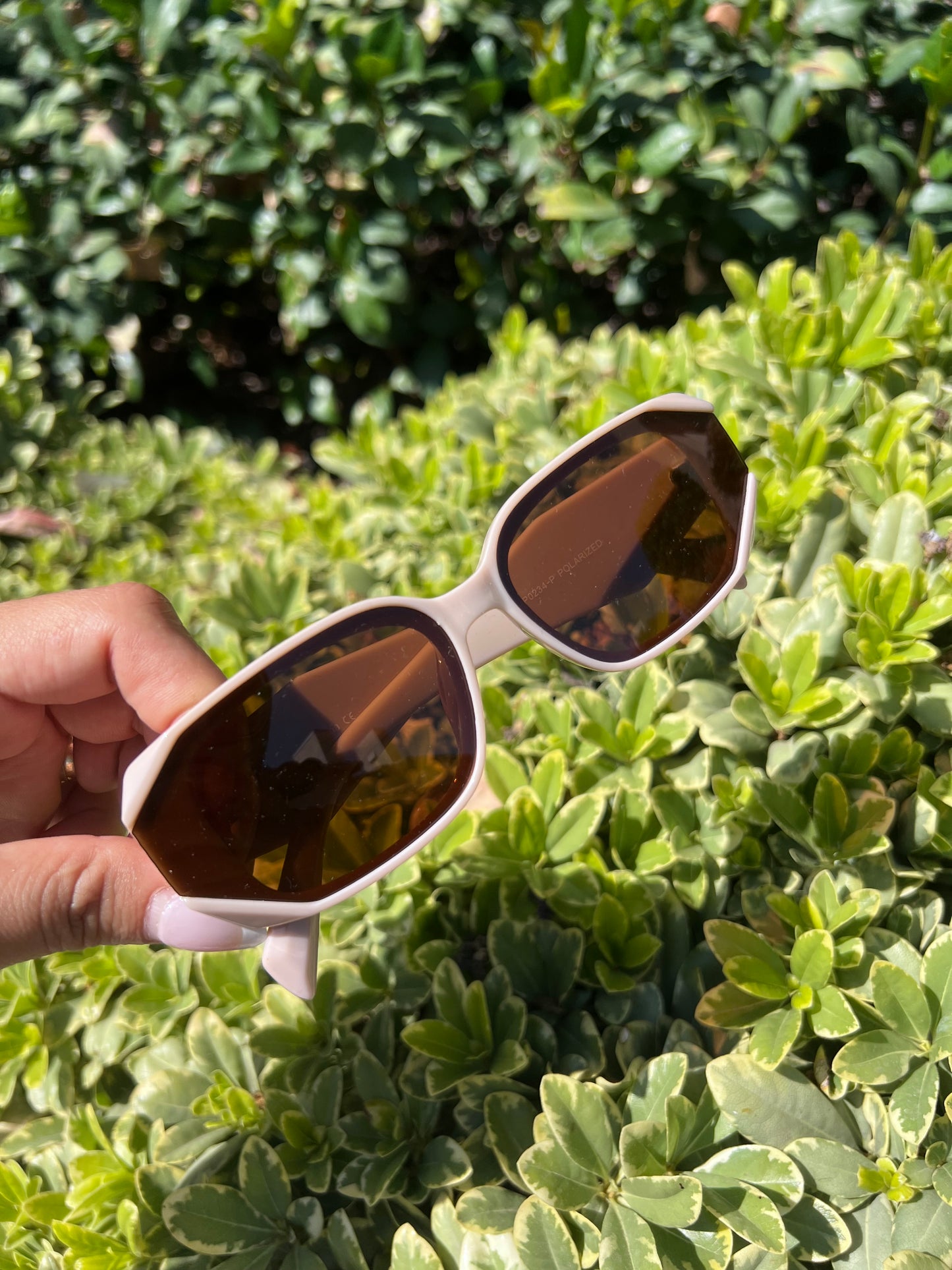 Trendy Glasses PR