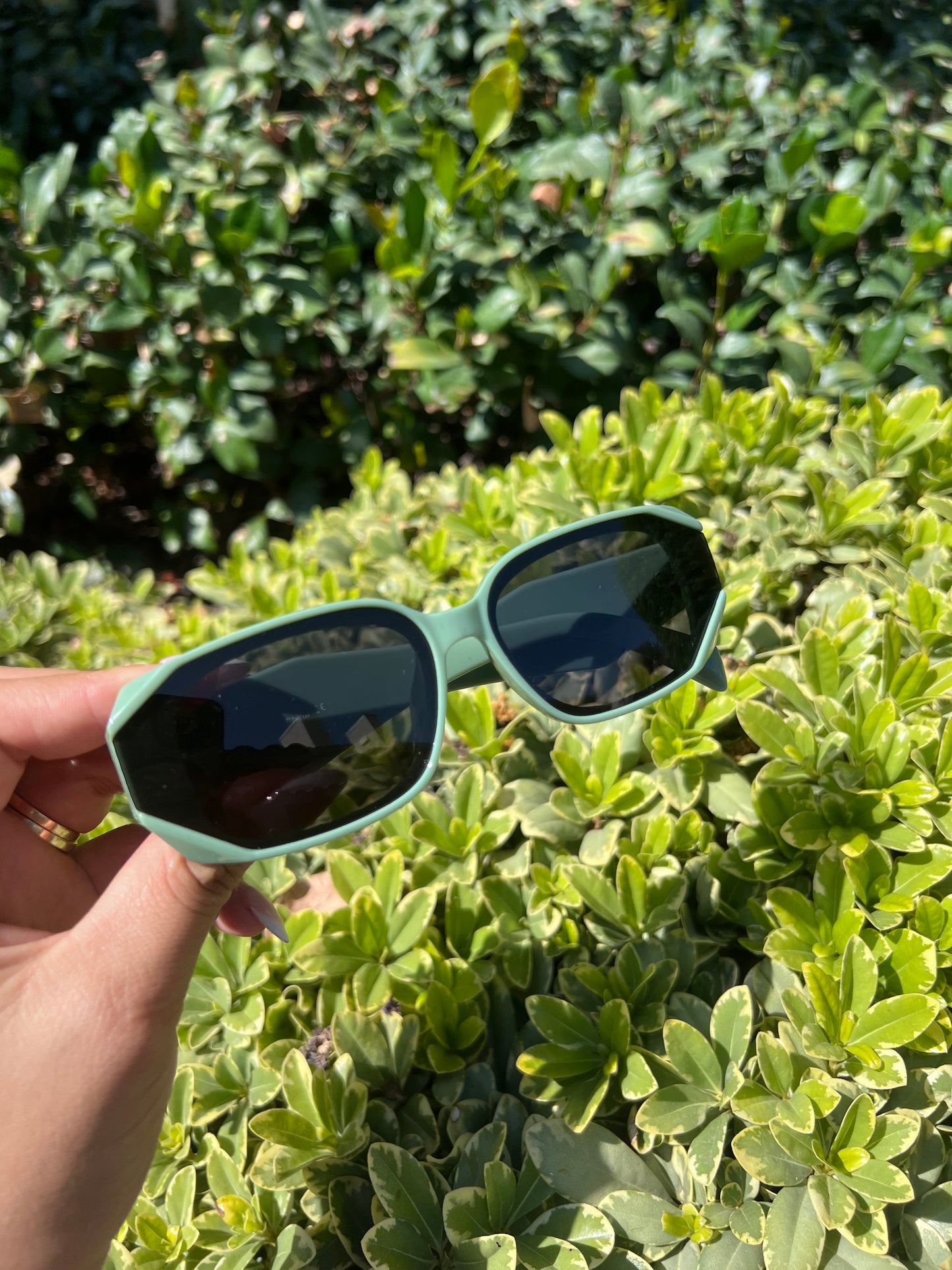 Trendy Glasses PR