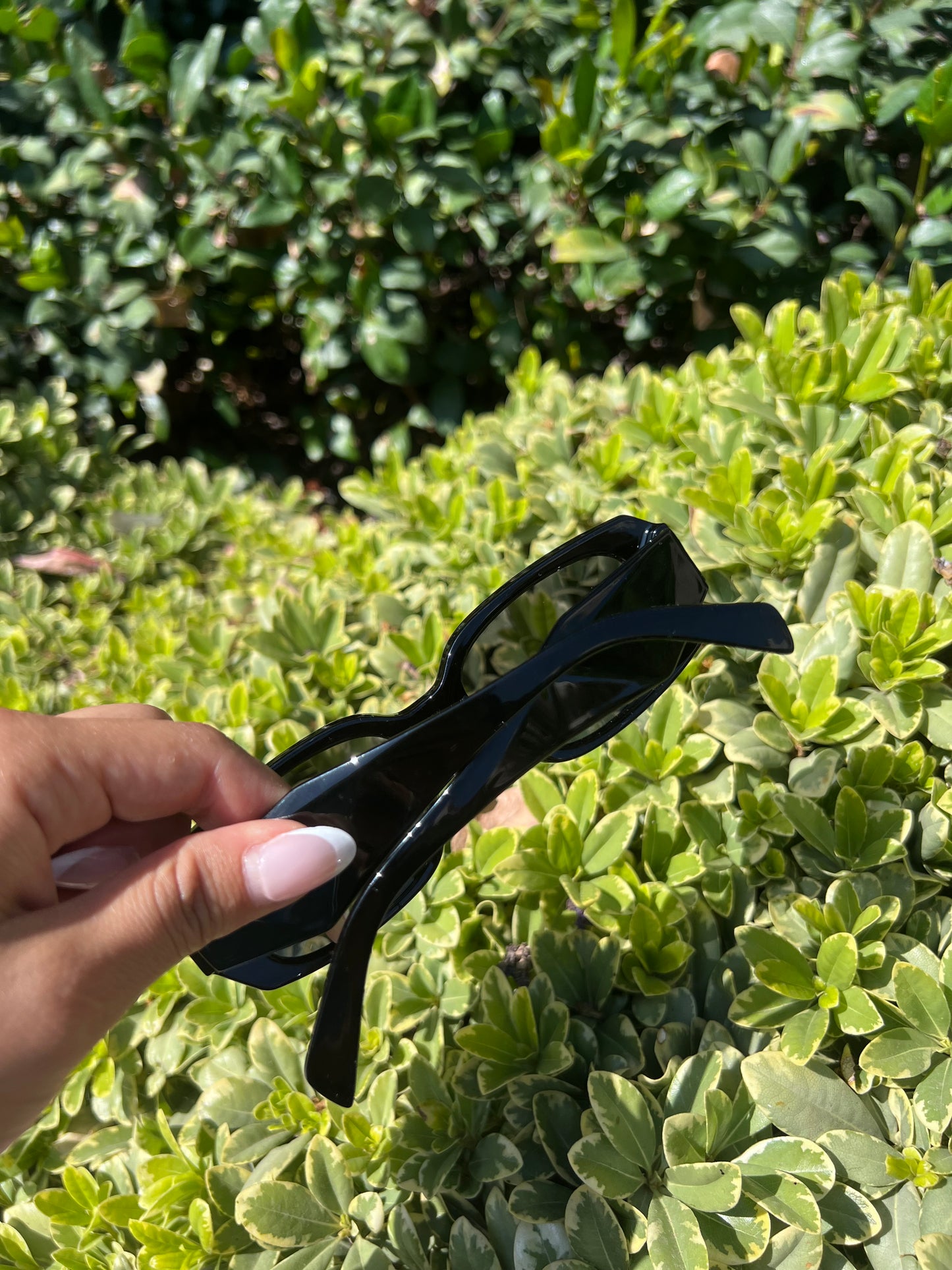 Trendy Glasses PR