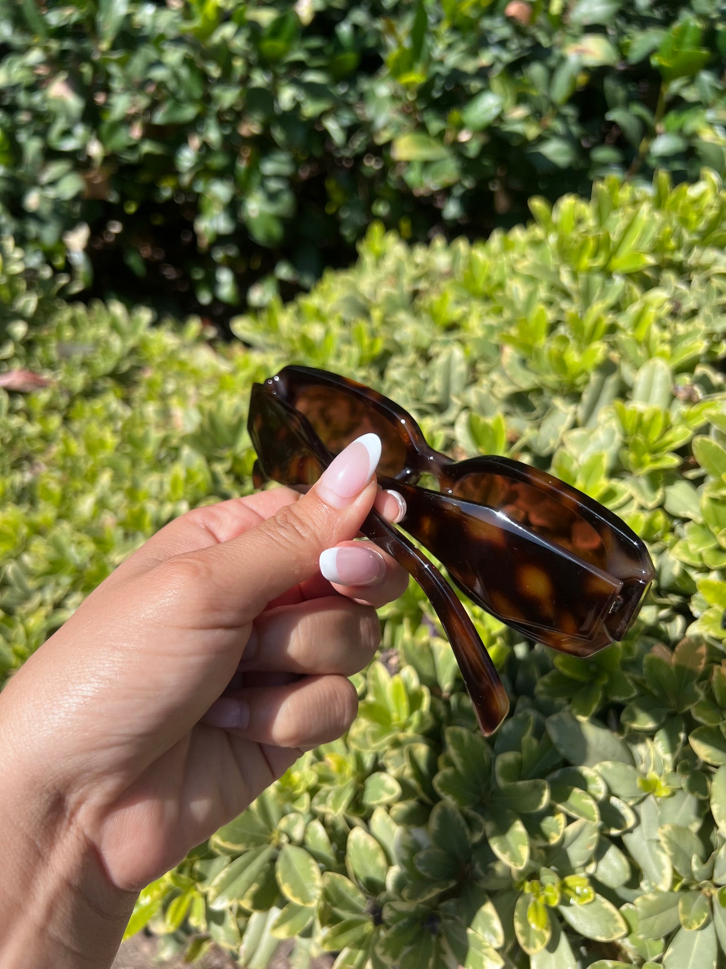 Trendy Glasses PR