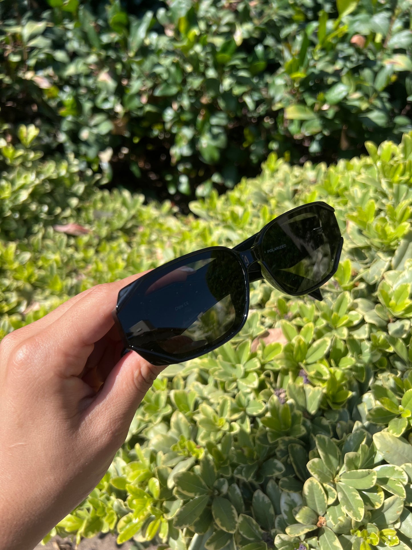 Trendy Glasses PR